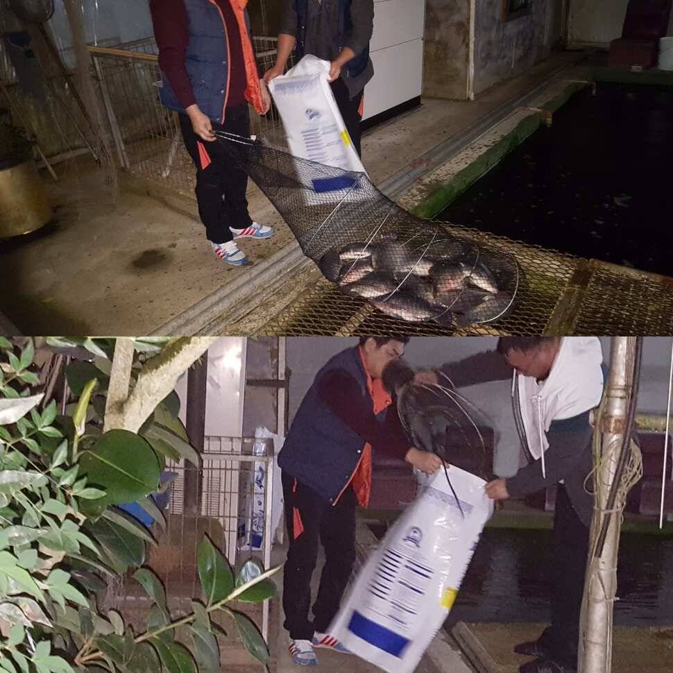 조상의 음덕 (유료터정보 - 유료터점주조황)