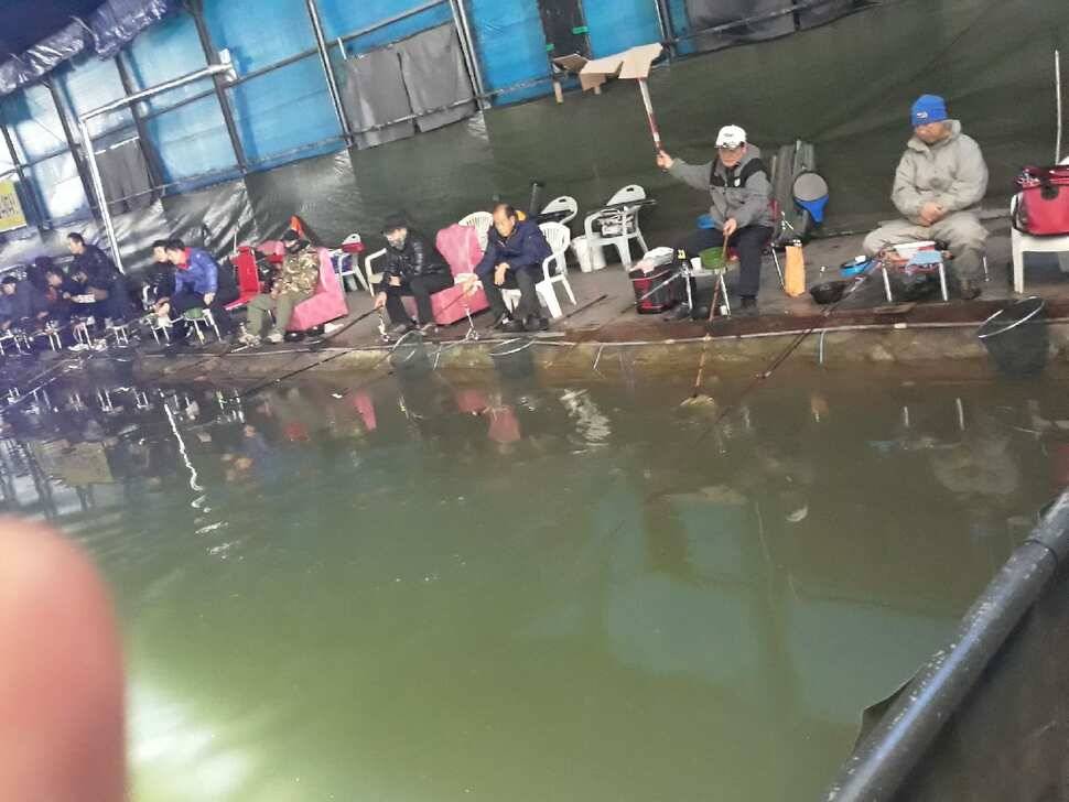 성탄절연휴를 보내고 (유료터정보 - 유료터점주조황)