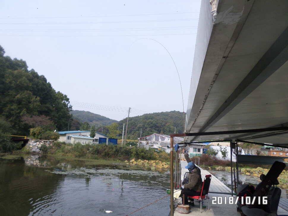 아산신수지 10월 셋째 주중 화보입니다 (유료터정보 - 유료터점주조황)