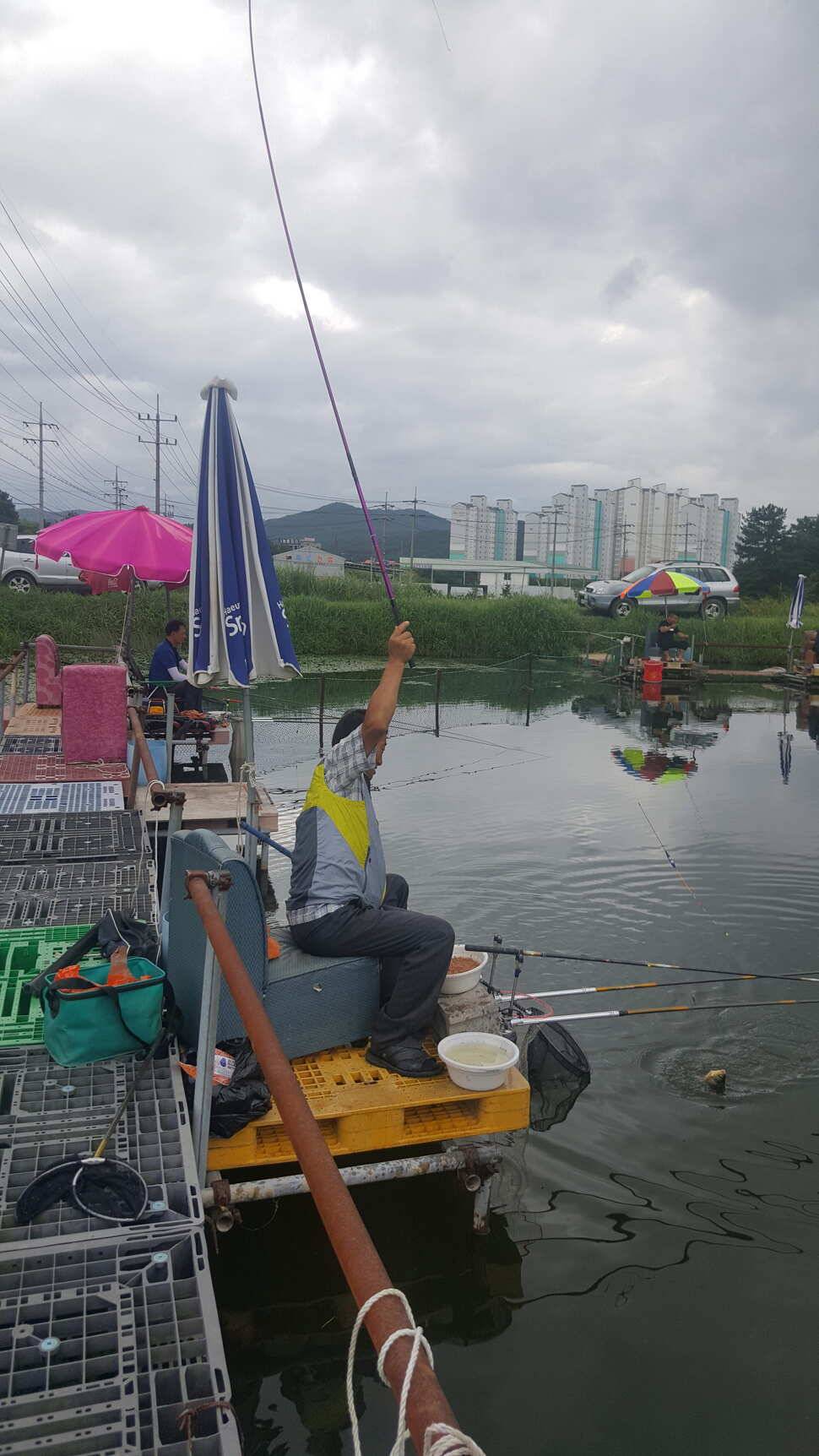 경주 동산낚시터 지난주 조황 (유료터정보 - 유료터점주조황)