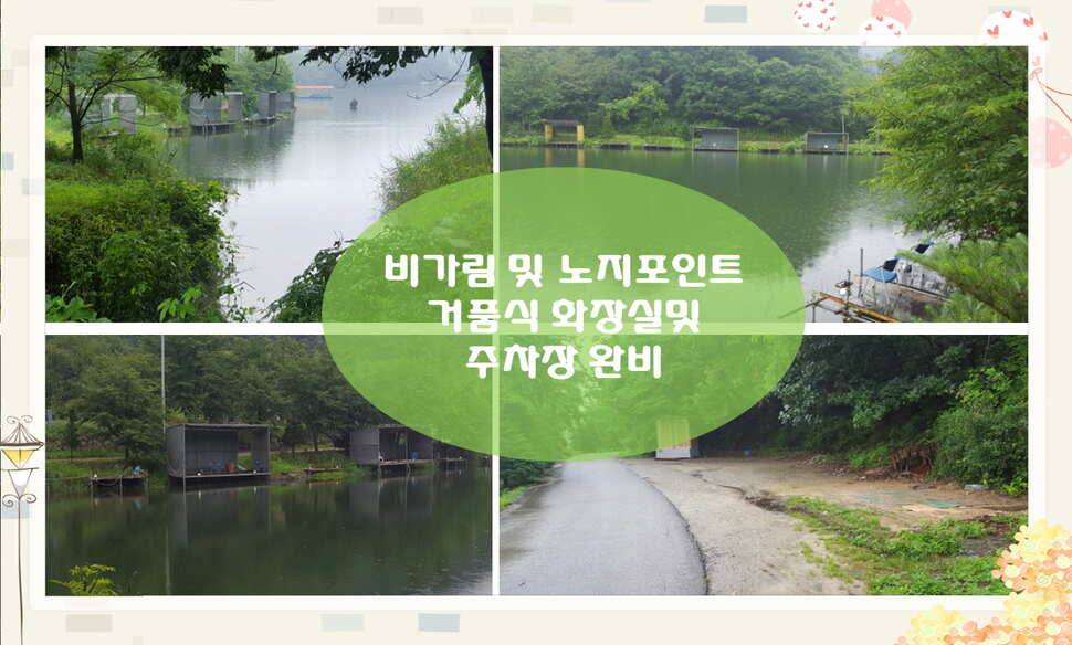 양평 수곡낚시터 주중 조황정보 (유료터정보 - 유료터점주조황)