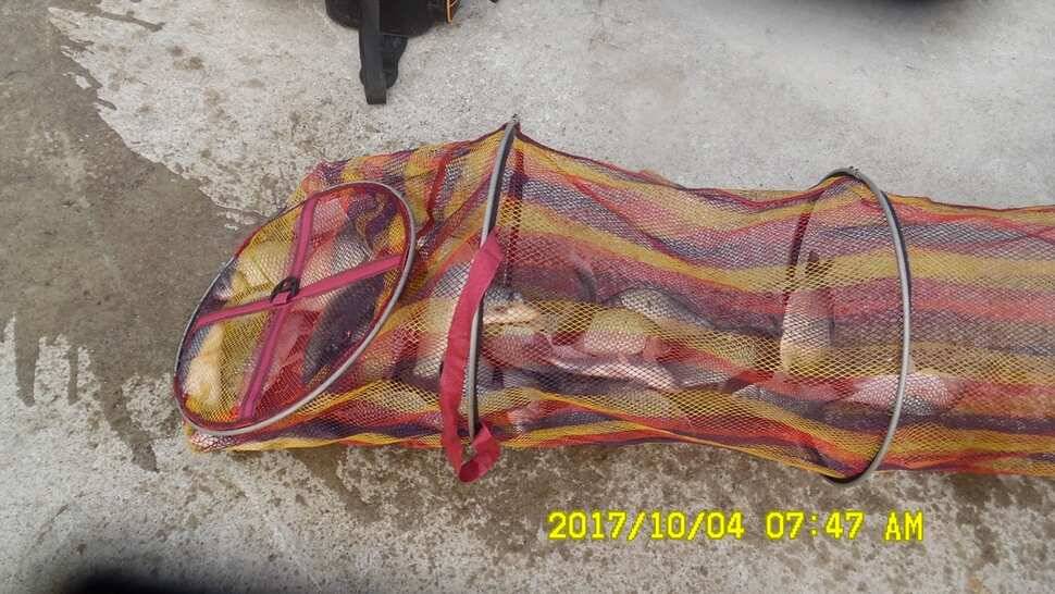 안성시장배전국민물낚시대회 티켓마감임박 10월4일반제지조황 (유료터정보 - 유료터점주조황)