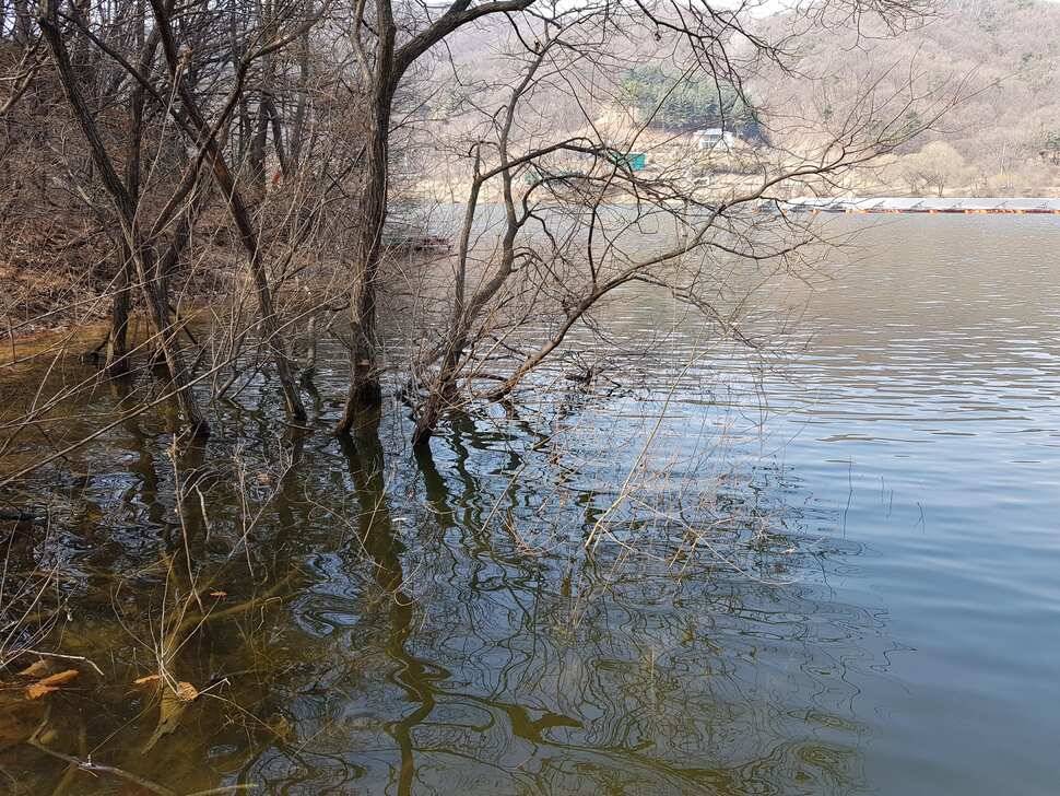 깊은계곡속에자리잡은장계지에서 (유료터정보 - 유료터점주조황)