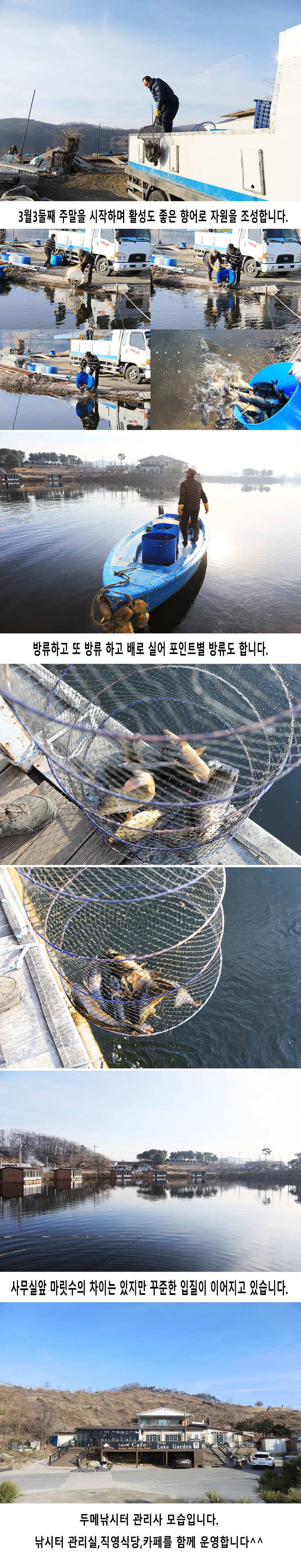 안성 두메낚시터 3월9일 조황안내 (유료터정보 - 유료터점주조황)