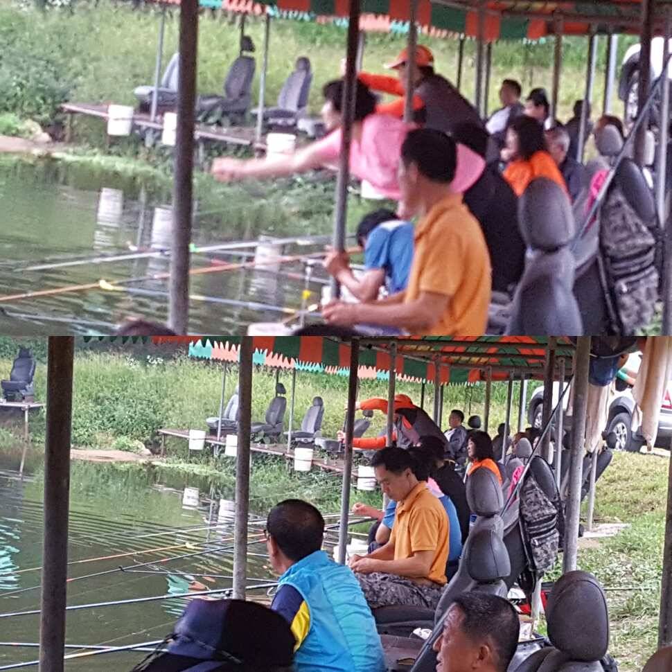 다산왕순산왕 (유료터정보 - 유료터점주조황)