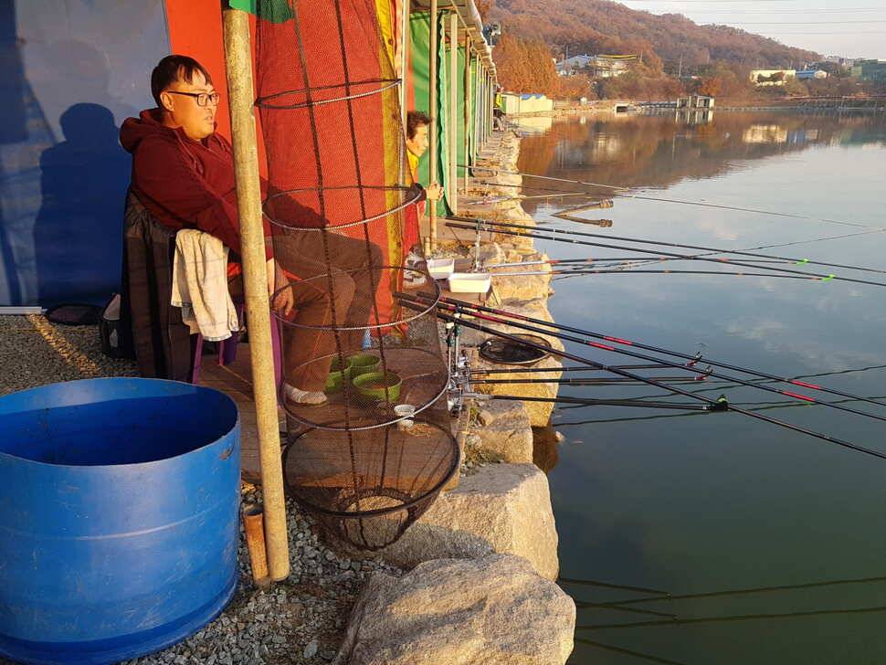 11 월 14 일 경기도 안성 거청낚시터 붕어조황 (유료터정보 - 유료터점주조황)