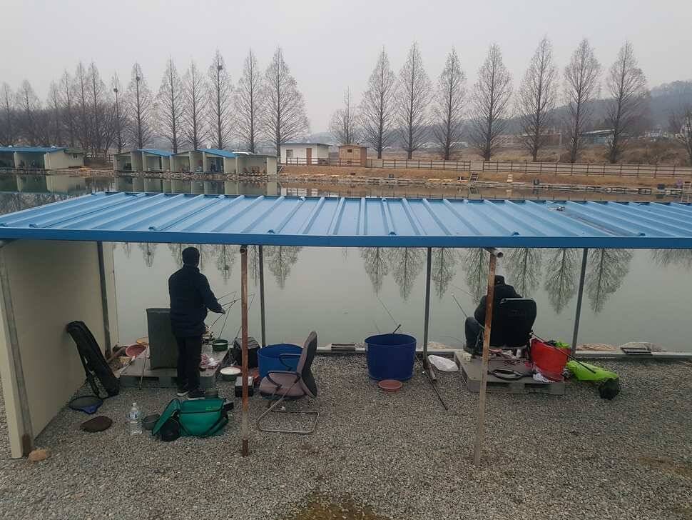 안성 거청낚시터 붕어조황 3 월 19 일 (유료터정보 - 유료터점주조황)
