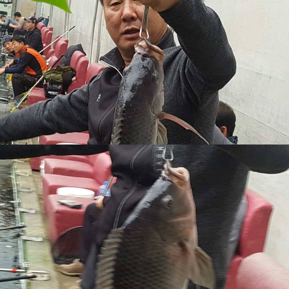 마음의 거울 (유료터정보 - 유료터점주조황)