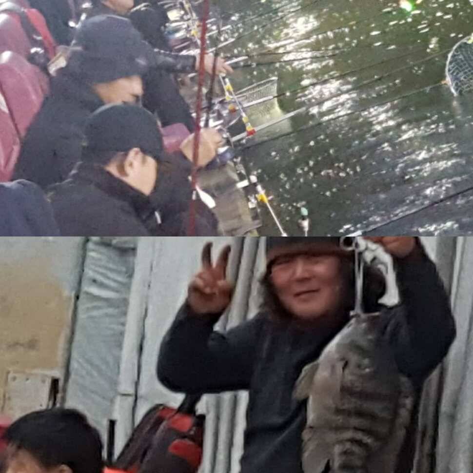 스릴러 (유료터정보 - 유료터점주조황)