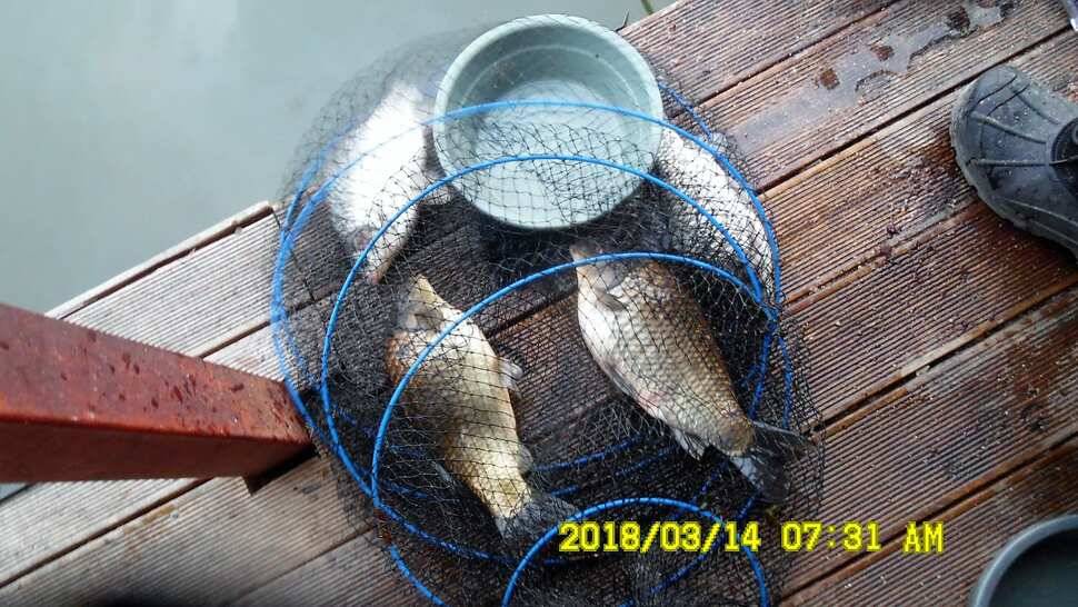 반제지 조황정보입니다 (유료터정보 - 유료터점주조황)