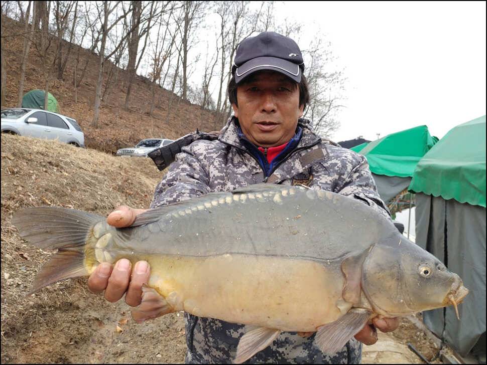 개장식토일조황 및 전경 (유료터정보 - 유료터점주조황)