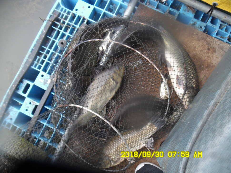경주 동산낚시터 지난주 조황 (유료터정보 - 유료터점주조황)