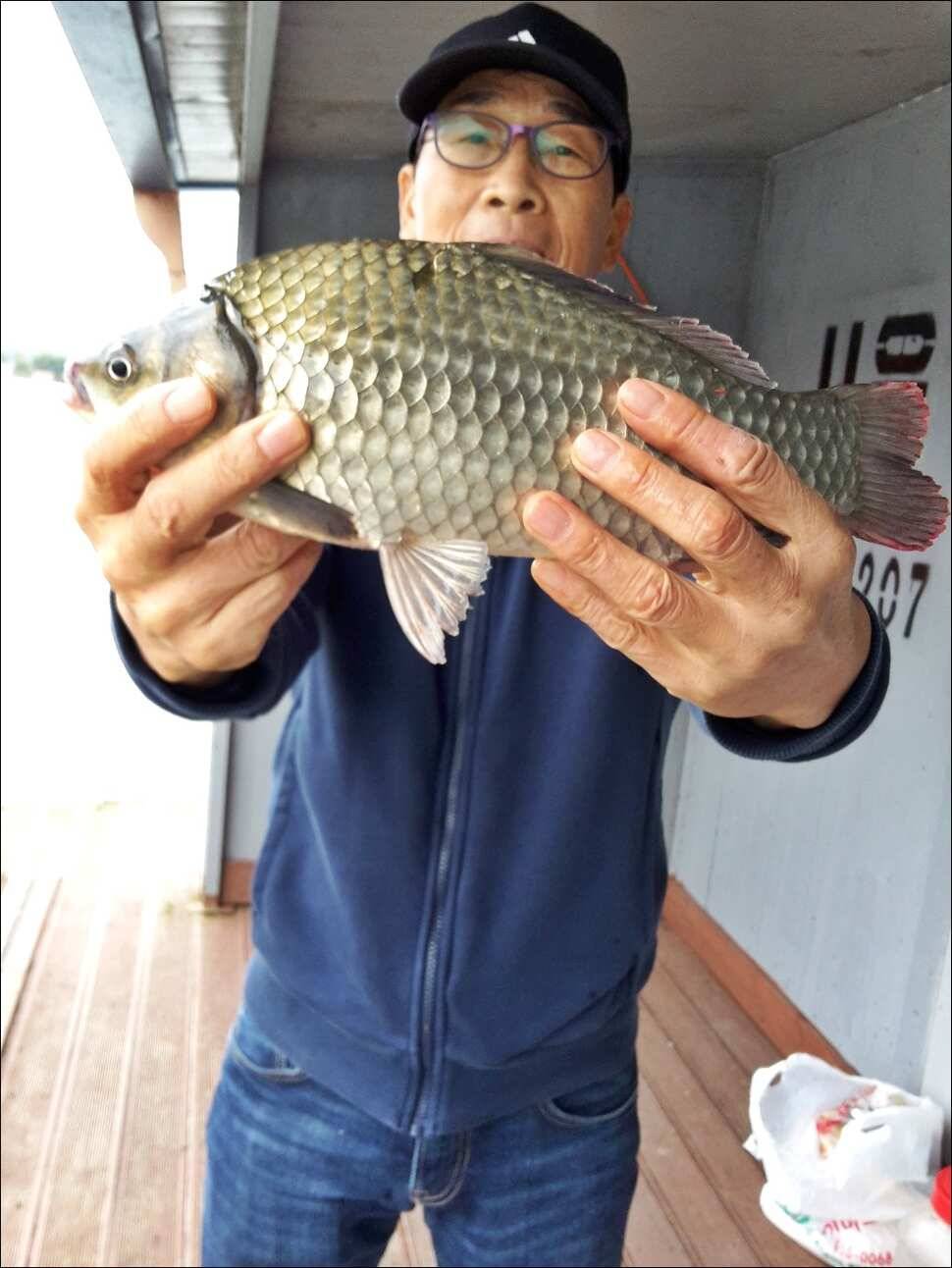 171012 송전지 서울집 조황 (유료터정보 - 유료터점주조황)