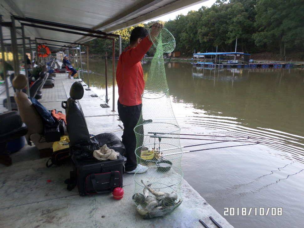 fish_pay_31b6d_075159_21816.jpg