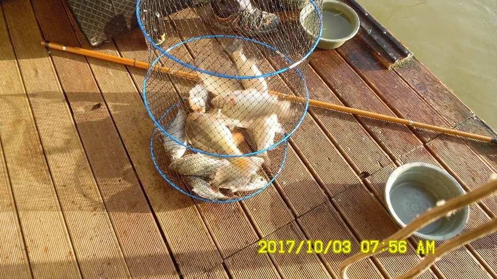 반제지 대박조황은 쭈욱 (유료터정보 - 유료터점주조황)