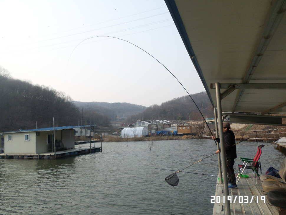 아산신수지 3월 넷째 주초 화보입니다 (유료터정보 - 유료터점주조황)