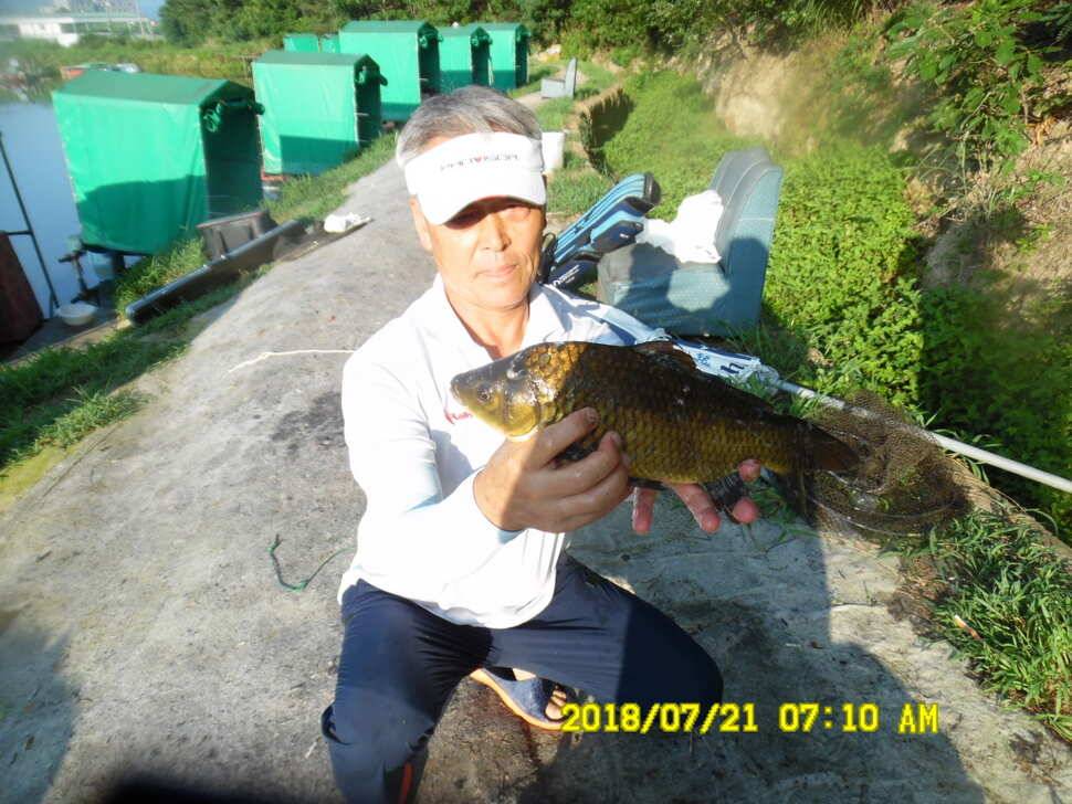 경주 동산낚시터 지난주 조황 (유료터정보 - 유료터점주조황)