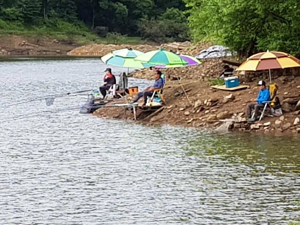 산속깊은계곡속에자리잡은장계지에서 (유료터정보 - 유료터점주조황)