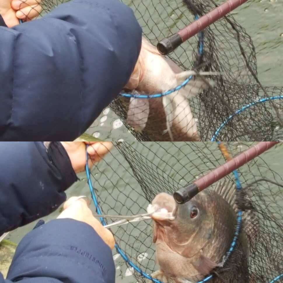 대물주의보 (유료터정보 - 유료터점주조황)