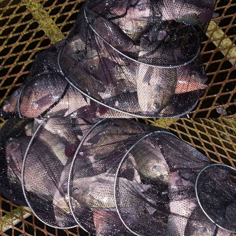 너무 물렀어 (유료터정보 - 유료터점주조황)