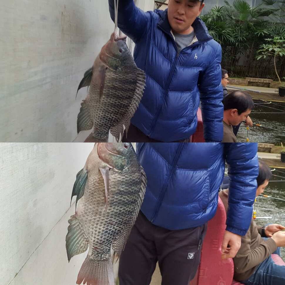 스릴러 (유료터정보 - 유료터점주조황)