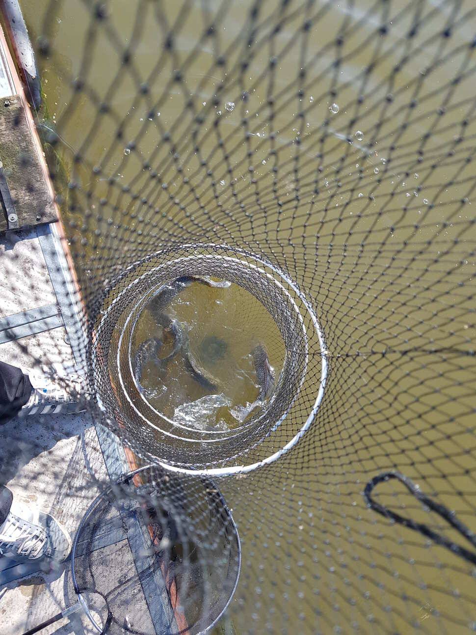 fish_pay_345f0_041131_69163.jpg