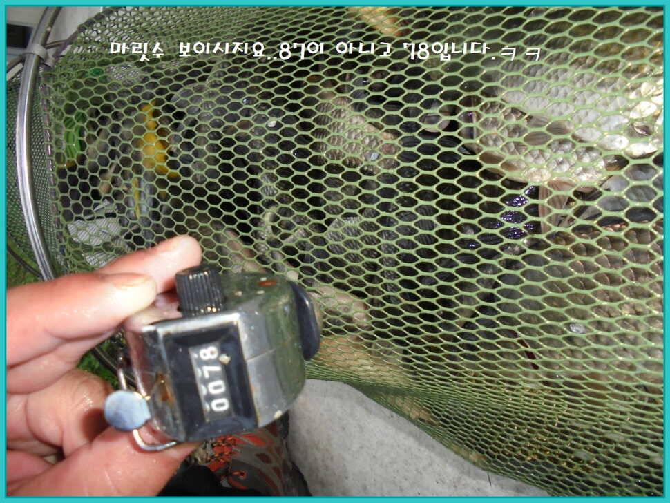 도심속의 작은 쉼터 화성 관리 낚시터입니다 (유료터정보 - 유료터점주조황)