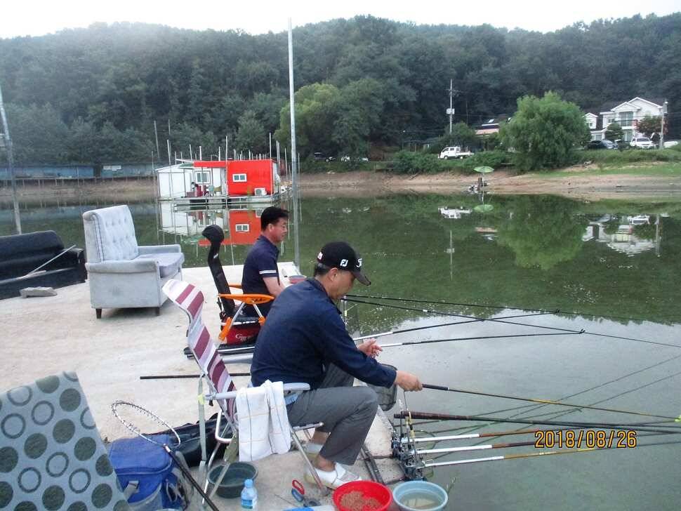 반제지 조황정보입니다 (유료터정보 - 유료터점주조황)