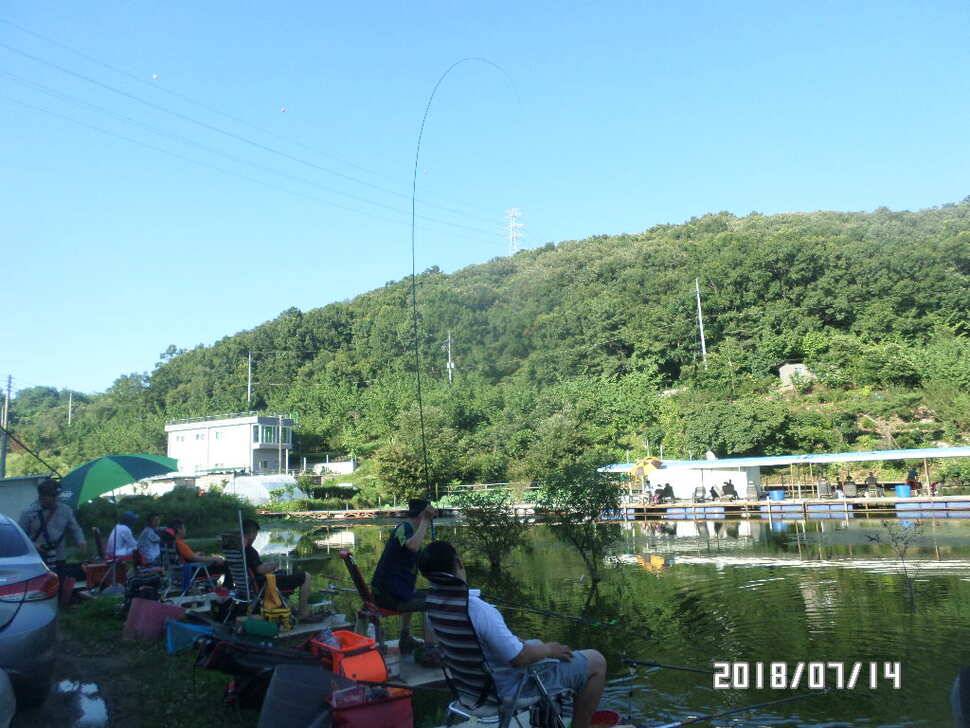 아산신수지 7월 셋째 주말 화보입니다 (유료터정보 - 유료터점주조황)