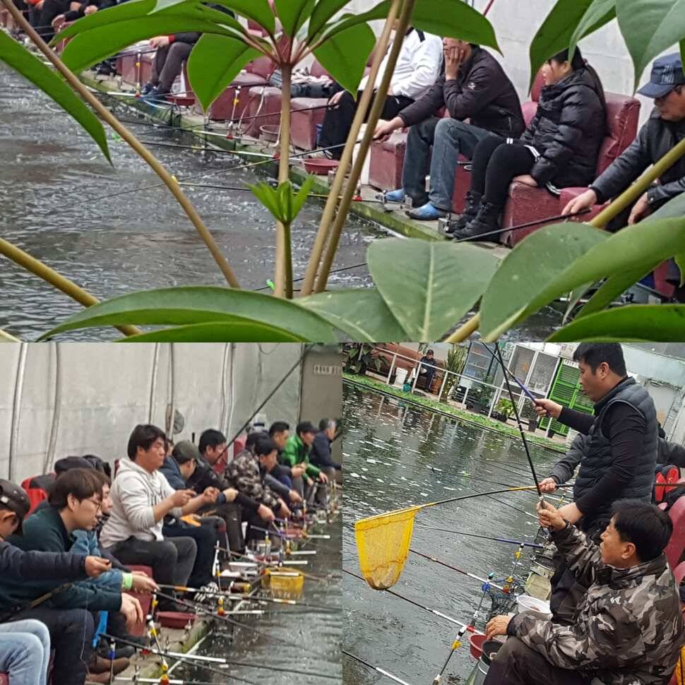 화개화락 (유료터정보 - 유료터점주조황)