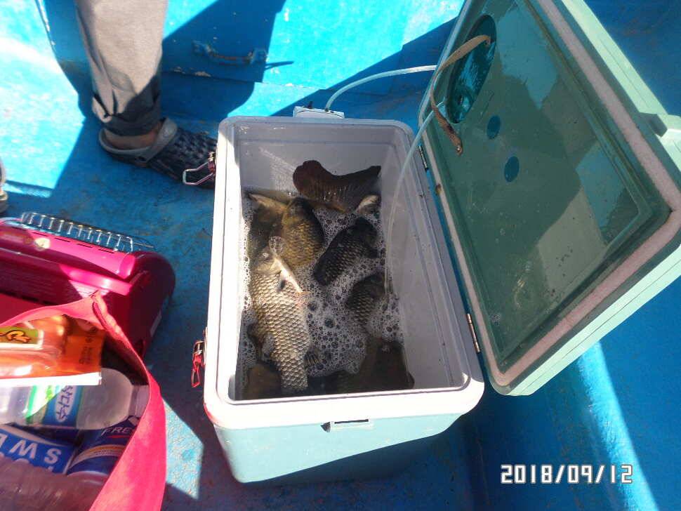 fish_pay_3723c_030937_24382.jpg