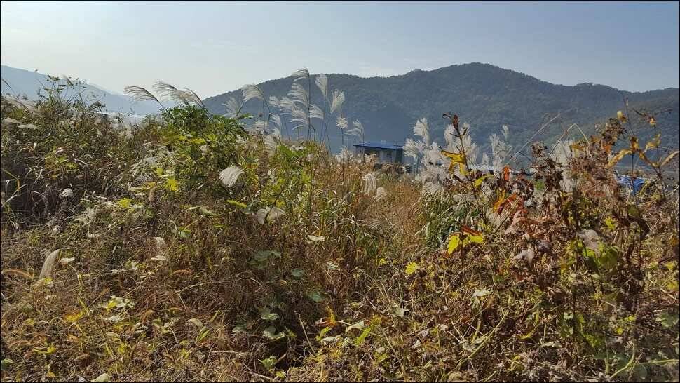 171031 송전지 서울집 조황 (유료터정보 - 유료터점주조황)