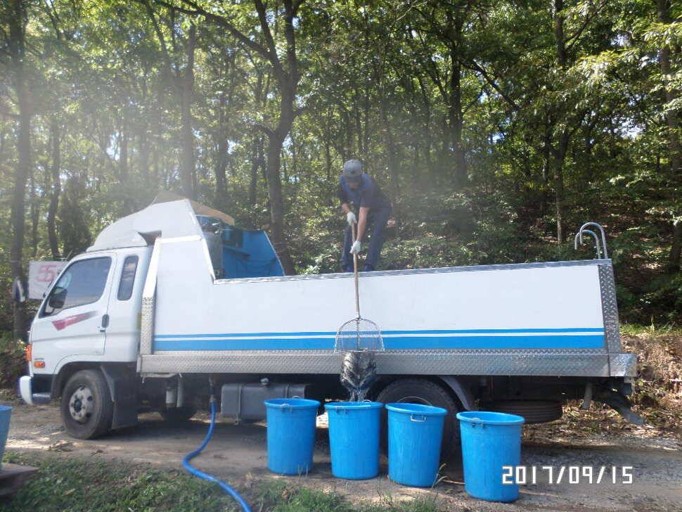 아산 신수지 주말 화보입니다 (유료터정보 - 유료터점주조황)