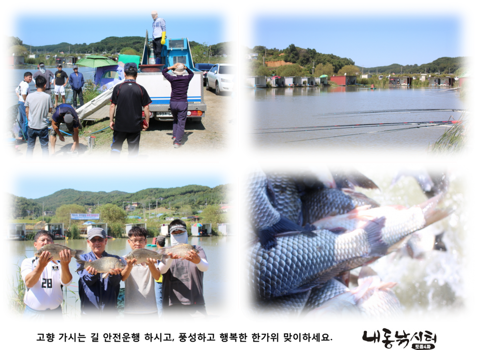 추석 이벤트 (유료터정보 - 유료터점주조황)