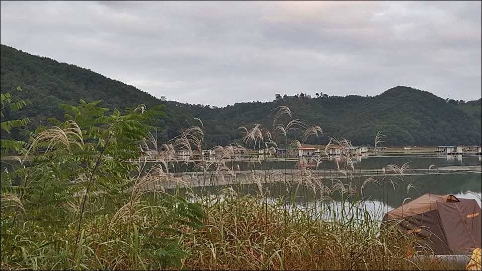 171010 송전지 서울집 조황 (유료터정보 - 유료터점주조황)