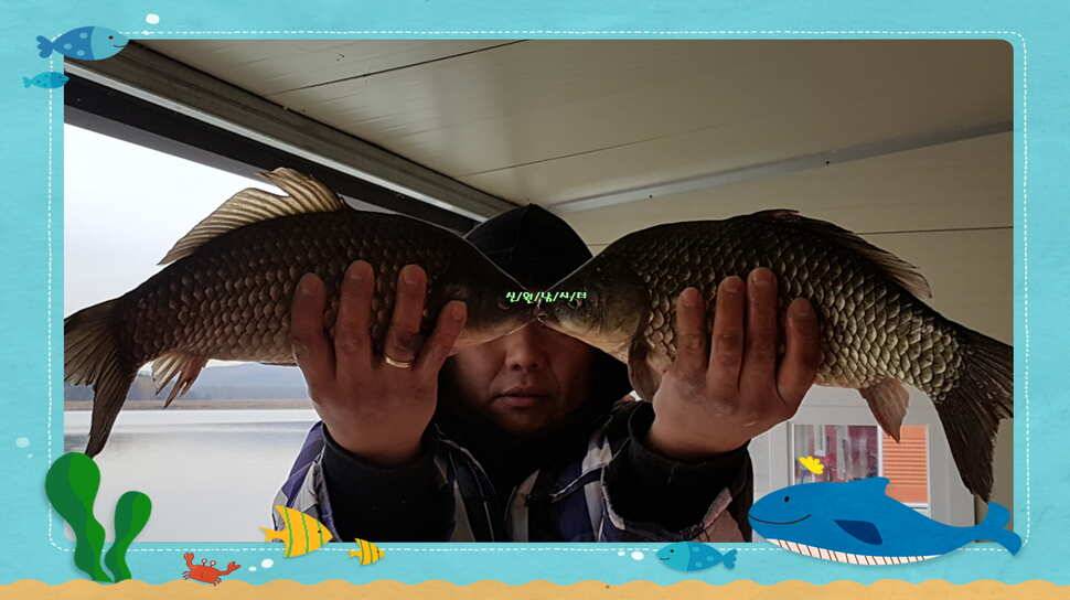 11월셋쨋주 방류소식과 조황소식 (유료터정보 - 유료터점주조황)