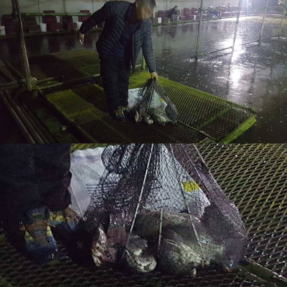 살살 개겨야지 (유료터정보 - 유료터점주조황)