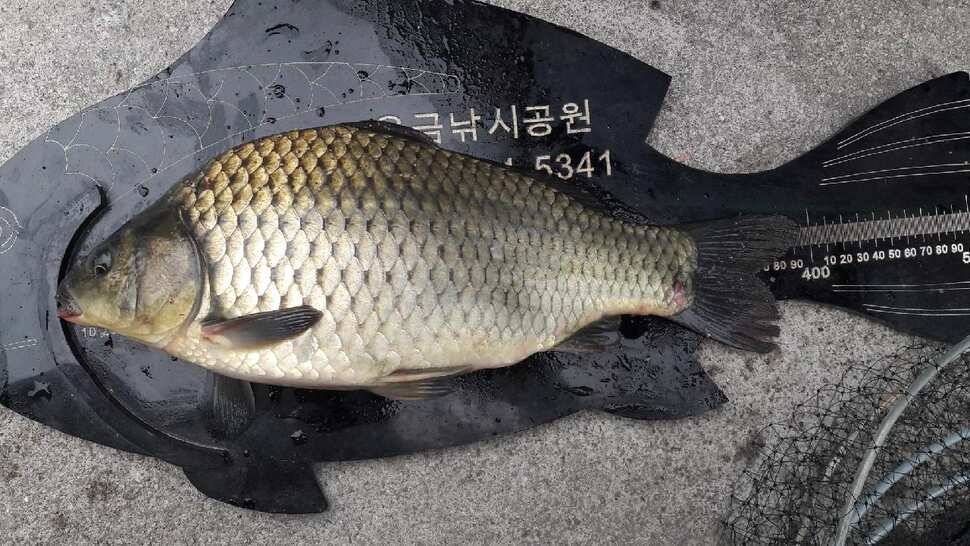 연휴시작의 주말조황 (유료터정보 - 유료터점주조황)