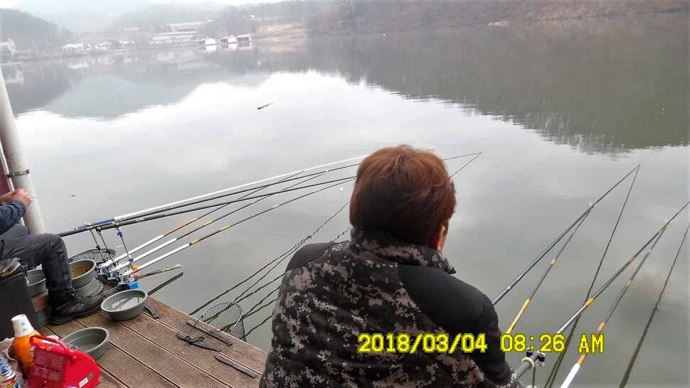 반제지 조황정보입니다 (유료터정보 - 유료터점주조황)