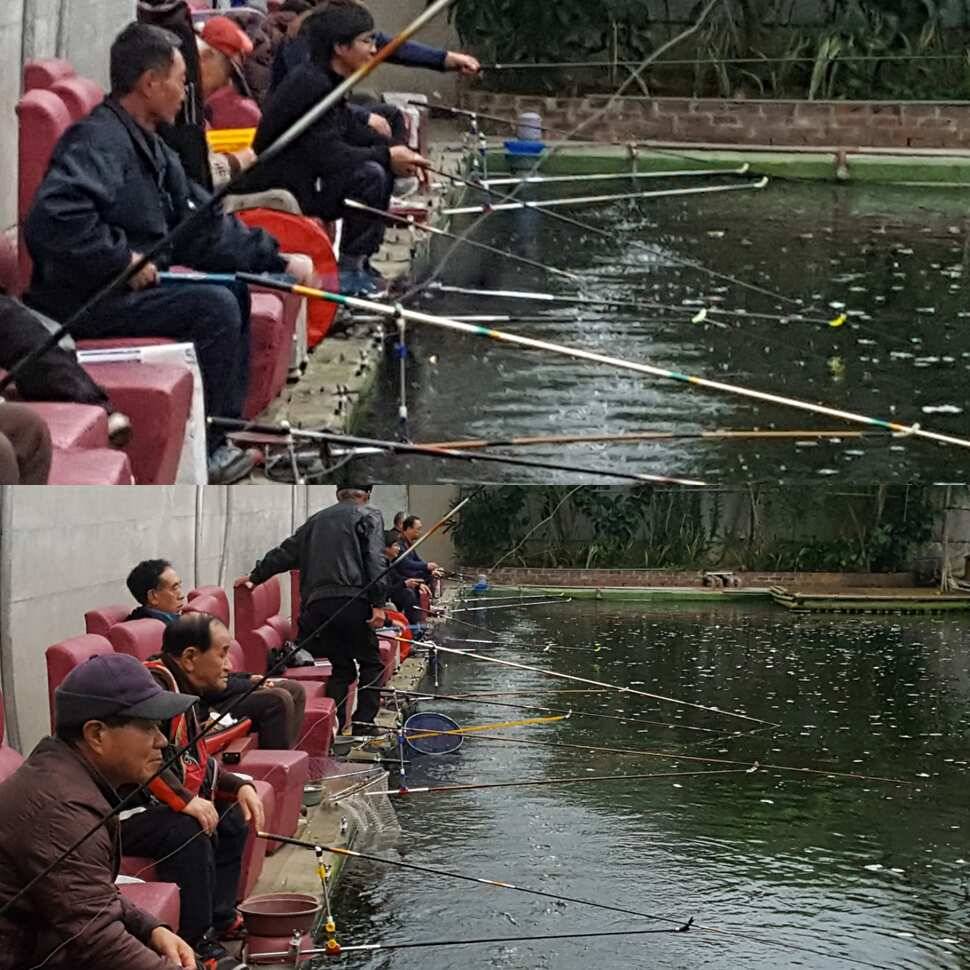 너무 물렀어 (유료터정보 - 유료터점주조황)