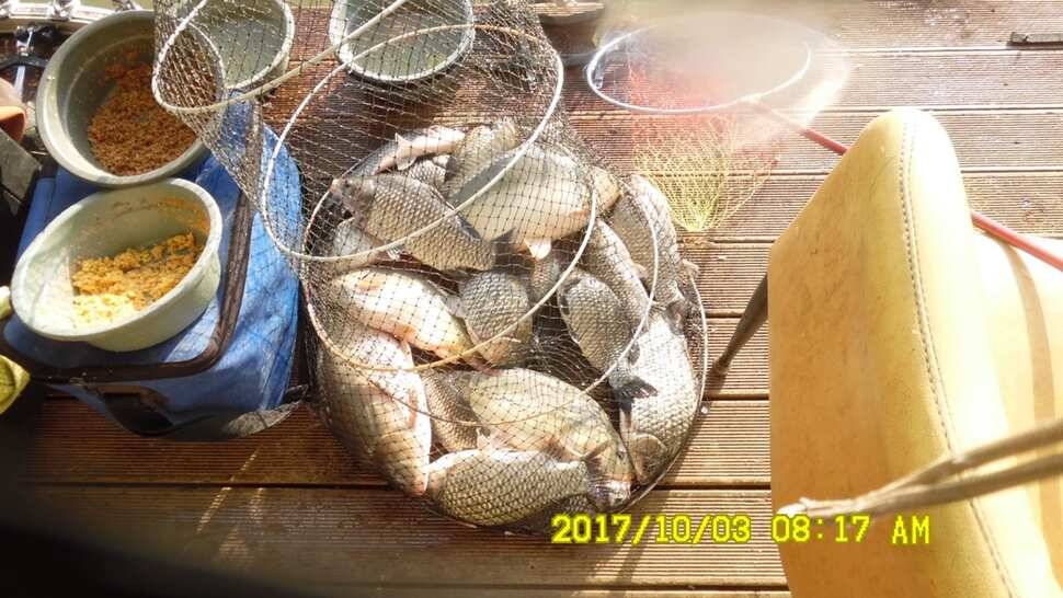반제지 대박조황은 쭈욱 (유료터정보 - 유료터점주조황)
