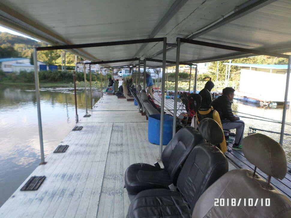 fish_pay_3d540_075215_20089.jpg