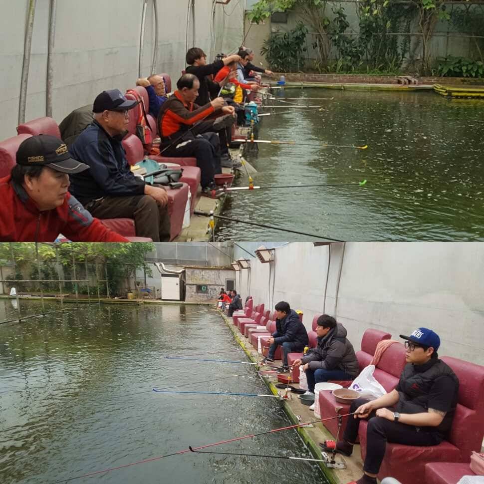 읍써 (유료터정보 - 유료터점주조황)