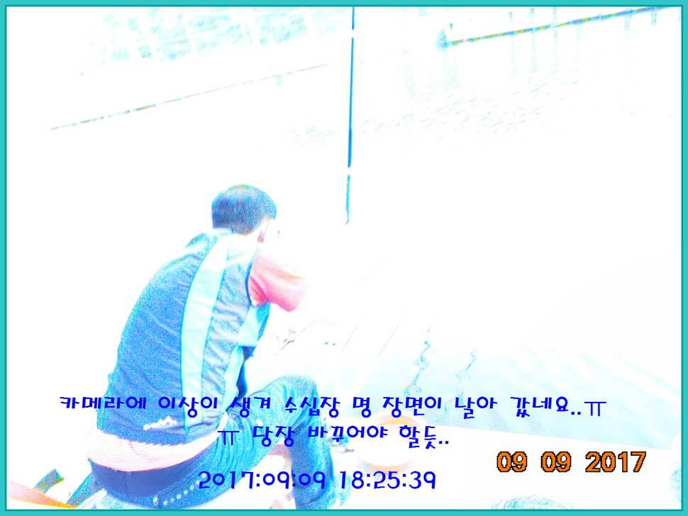 도심속의 작은 쉼터 화성 관리 낚시터입니다입질 대란입니다 (유료터정보 - 유료터점주조황)