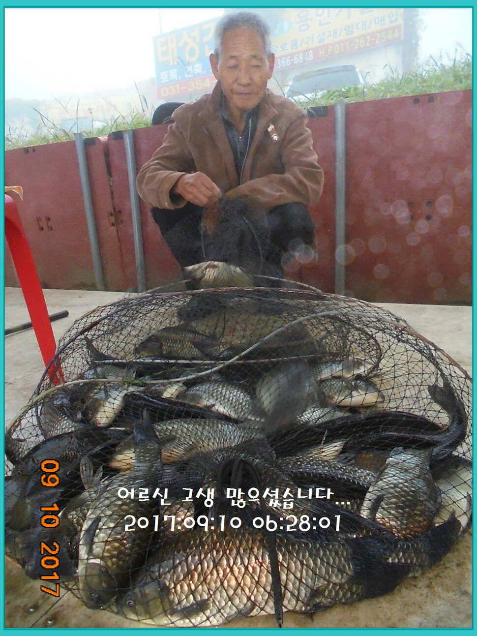 도심속의 작은 쉼터 화성 관리 낚시터입니다지처서 못하겠답니다 (유료터정보 - 유료터점주조황)