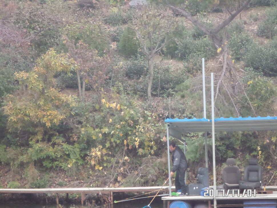 아산신수지 11월 첫주중 화보입니다 (유료터정보 - 유료터점주조황)