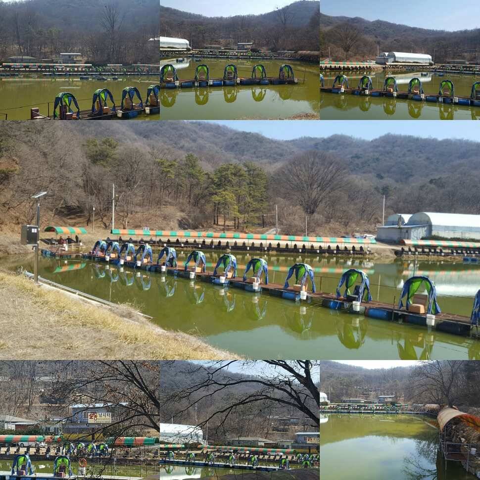 망상 (유료터정보 - 유료터점주조황)