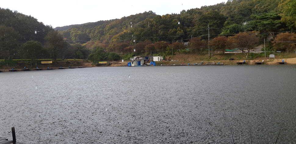 안성회암지조항 입니다 (유료터정보 - 유료터점주조황)