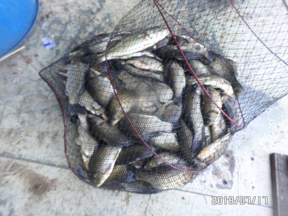 아산신수지 넷째 주초 화보입니다 (유료터정보 - 유료터점주조황)