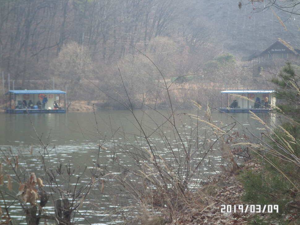 아산신수지 3월 둘째 주말 화보입니다 (유료터정보 - 유료터점주조황)